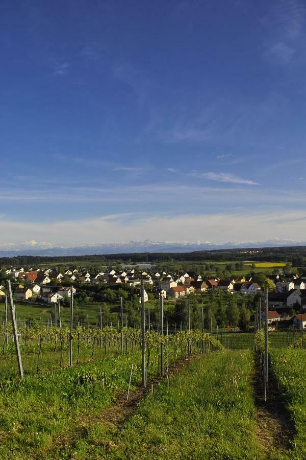 Fewo Schillerstrasse Markdorf Ngoại thất bức ảnh